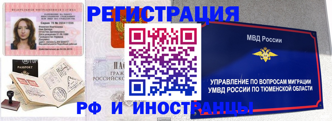 где прописаться в Нелидово